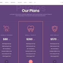 Clinica-dental-ejemplo-baharyprojects-8