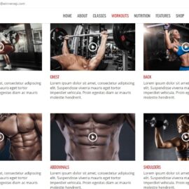 Personal-Trainers-ejemplo-baharyprojects4